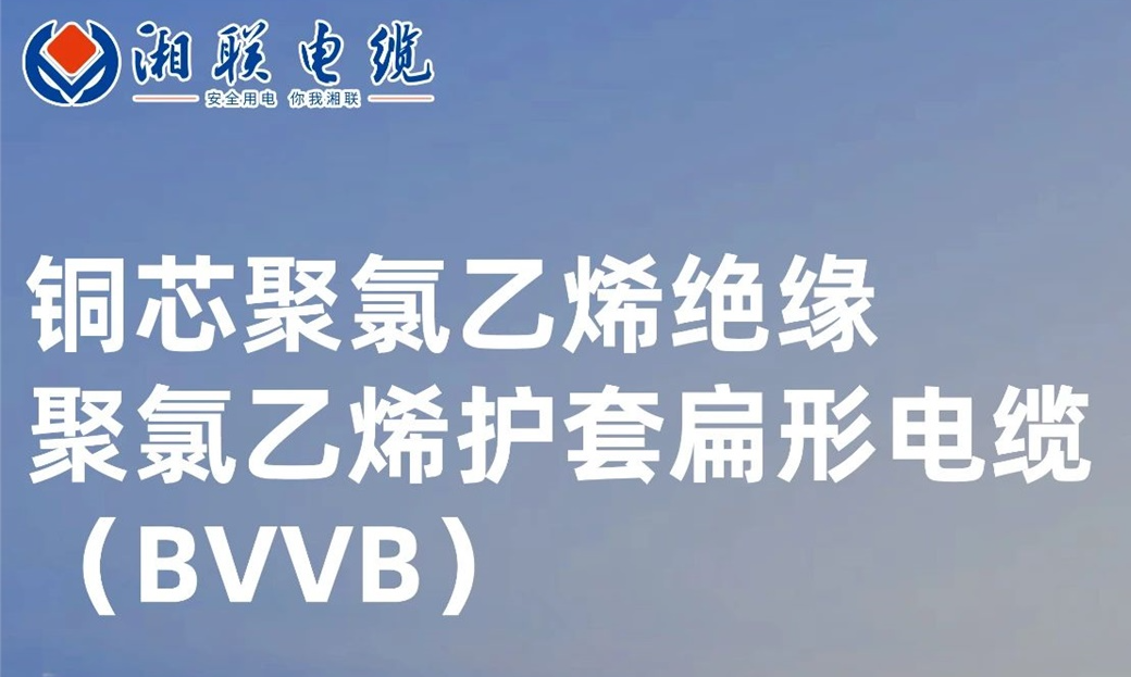 國標認證，品質保障 | 一文解析BVVB（銅芯聚氯乙烯絕緣聚氯乙烯護套扁形電纜）