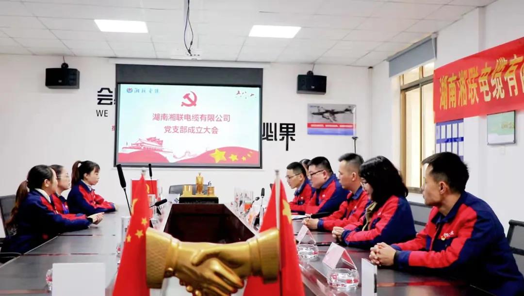 新征程 | 熱烈祝賀湖南湘聯(lián)電纜有限公司黨支部正式成立！