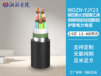 電纜接頭有哪些常見(jiàn)的故障類型？